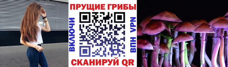 Галлюциногенные грибы ЛСД  Новая Ляля 